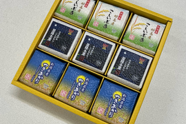 令和7年産　新潟県産　真空パック米３００ｇ×９個セット　白米