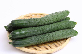 歯切れが違う！イボイボきゅうり　３キロ