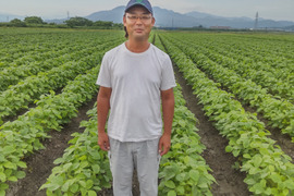 受付終了！松浦さんちの朝採りだだちゃ豆1.8キロ【600ｇ入×3袋】鶴岡特産の枝豆です。
