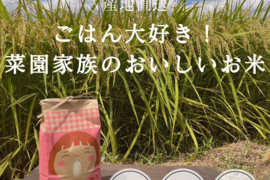 ごはん大好き！菜園家族のおいしいお米「帰香具礼」【白米】２０kg