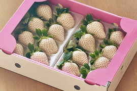 【数量限定】佐賀県産 白いちご「こころの色」