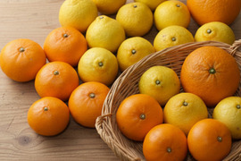 柑橘食べ比べ　せとか８個、はるか１３個、甘夏２個　合計５ｋｇ