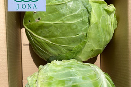 農薬不使用　青森県産　美味しい安心の有機キャベツ　有機栽培【TSK】