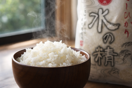安心・安全 有機JAS認証 コシヒカリ 5kg 令和7年産 石川県産 有機栽培米 水の精 白米 5kg