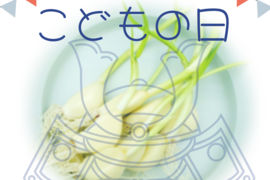 【こどもの日限定セール】根と芽も丸ごと食べられる！ロケット発芽にんにく『30本』＋訳あり品5本　岐阜産クリーンルーム水耕栽培　　　スプラウトにんにく