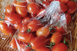 【ミニトマト】農薬化学肥料不使用！