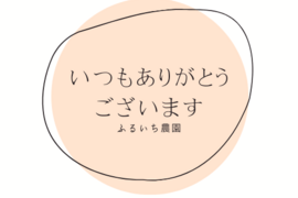 専用出品(きぬむすめ白米5キロ、さとのつき白米5キロ)