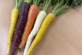 ’'ノウフク’’  食卓を彩る！カラフル人参　1kg