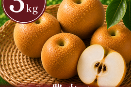 【梨：豊水】3kg (8〜9玉)｜千葉の梨農家から朝採れ直送【予約販売】