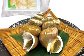 【夏の風物詩】白バイ貝すぐに食べれる刺身の4個セット。島根県沖で獲れた新鮮な白バイ貝を解凍だけの簡単調理。