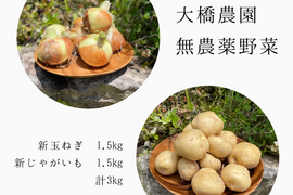 【栽培期間中農薬不使用】新じゃがいも(男爵) 1.5㎏/新玉ねぎ 1.5㎏