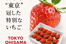 「東京おひさまベリー」(9～30粒入り、約300g)【贈答用大粒いちご】 東京生まれのニューブランド 　 イチゴ 苺 ギフト スイーツ 果物 プレゼント 贈り物 お礼品 御礼品 誕生日