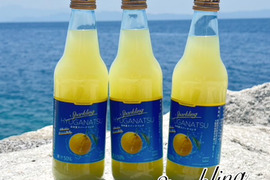 【訳あり】日向夏スパークリング340ml×6本