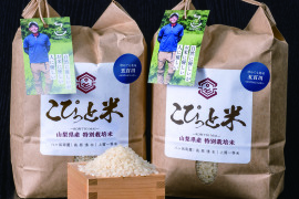令和6年の新米｜食べチョク｜産地直送(産直)お取り寄せ通販