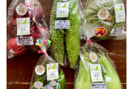 濃甘！野菜セット5種類×2倍量 農薬・化学肥料不使用♪個包装