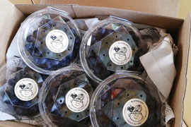 収穫したその日に発送！自然栽培ブルーベリー(小分け)