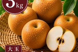 【梨：豊水】3kg 大玉(5〜7玉)｜千葉の梨農家から朝採れ直送【予約販売】