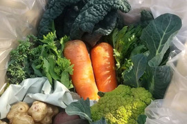 【ご予約受付中】地域循環！季節の野菜詰め合わせ（固定種・農薬不使用）※簡易包装タイプ