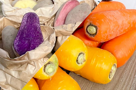 【彩り野菜で毎日の食卓に】カラフルにんじん＆じゃがいも詰め合わせセット