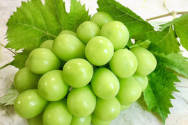 大人気！【大容量家庭用訳ありシャインマスカット】約2.5㎏　約5〜9房