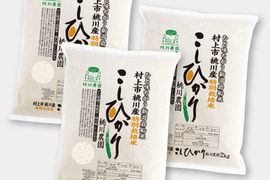 【新米予約 令和８年産】コシヒカリ特別栽培米6kg（2kg×3）