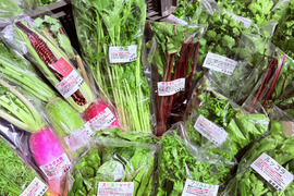 旬の野菜セット！ 大和ルージュ　2本入り
80サイズの箱に7種から10種類程度のお野菜詰め合わせ