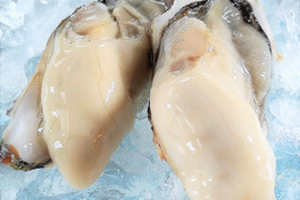 【ぷくぷくさん専用】生食用 かき大将🦪 大 L/10個 と冷凍アワビつぶ貝500ｇ×2パック