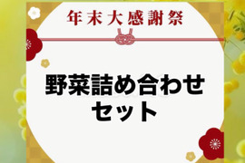 26日～28日発送‼️今年最後のお野菜セット‼️キャベツ入‼️