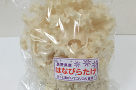 【春夏限定】たっぷり！採れたて はなびらたけ まるごと一株！一株300ｇ以上✕2袋