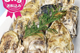 熊本産まれ 鏡オイスター 殻付マガキ(小サイズ)3kg・加熱調理用