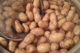 自然栽培　生落花生1kg【おおまさり/塩茹でがおすすめ】