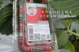 「べにほっぺ」30ｇ以上の大粒のみ800g【クール便】