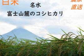 コシヒカリ 兵庫県 20キロ 精米済み 令和3年度産 農家直送 okamotonojostore_12020