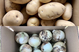【鹿児島産】甘塩新ジャガイモ6キロ・甘塩新玉ねぎ5キロ^_^
