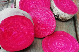 美しい八ケ岳高原野菜　真っ赤な　生ビーツ（ 2kg）