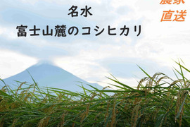 令和5年産　炊くとふっくら！霊峰富士山の湧き水が作った絶品コシヒカリ（20キロ） 白米 　米 こしひかり 静岡産　農家直送