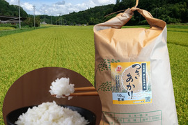 新米つきあかり 玄米20kg(10㎏×2袋) 広島県神石高原町 令和5年産 肌の水分を逃しにくくする「グルコシルセラミド」を豊富に含む美容米です！