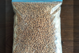 【自然栽培】玄小麦　500ｇ