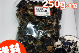 250g 乾燥きくらげ 国産 鳥取県産 八頭の木耳 きのこ キクラゲ 石づき除去 直射日光 無添加 低カロリー 糖質ゼロ 食物繊維 保存食