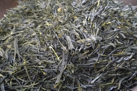 煎茶（2026） さやまかおり 新茶 加茂自然農園のお茶　農薬・肥料不使用　緑茶