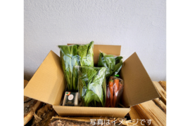 ミウラファーム津軽お試しセット【農薬化学肥料不使用野菜】１〜２人分