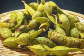 【お試しサイズ】丹波篠山産 黒枝豆 500g