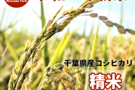 千葉県のコシヒカリで産地直送の商品｜食べチョク｜産地直送
