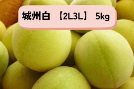 ＊予約販売【青梅】京都青谷産「城州白」(5kg, 2L3L)　香りの良さが光る青梅
