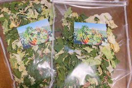 『災害時に役立つ野菜の保存食』 軽量、コンパクト!少量で効率的に野菜の栄養を摂取できる!九州産!!野菜の1番美味しい時期に収穫!!味もそのままギュッと閉じ込めた赤峯農園のドライベジ!!