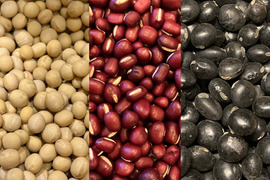 ３種食べ比べ🫘小豆250g＋黒豆250g＋「鶴の子大豆」250g＝計750g★北海道産★農薬化学肥料･除草剤不使用🫘☺️メール便📨