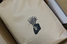 【令和7年産】お好きなお米10kg x 2袋