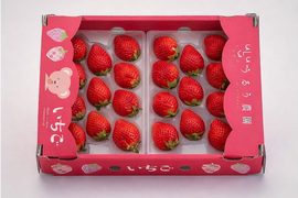 いちご うるベリー220g×2パック【冬ギフト】