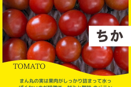 千果　ミニトマト　完熟　 赤  1000ｇ