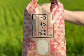【令和8年産新米】農家の先生が作る「山形県産つや姫」（10kg無洗米）